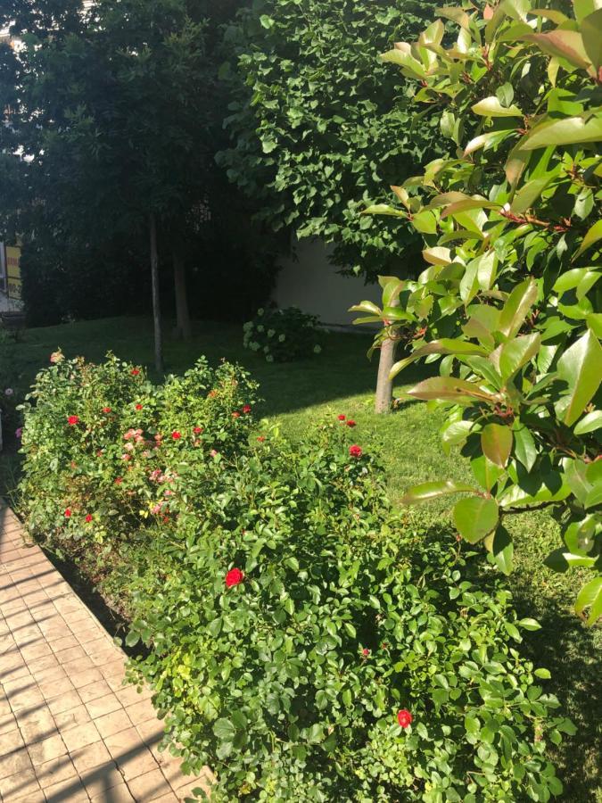 Вила Калабрия Święty Włas Zewnętrze zdjęcie